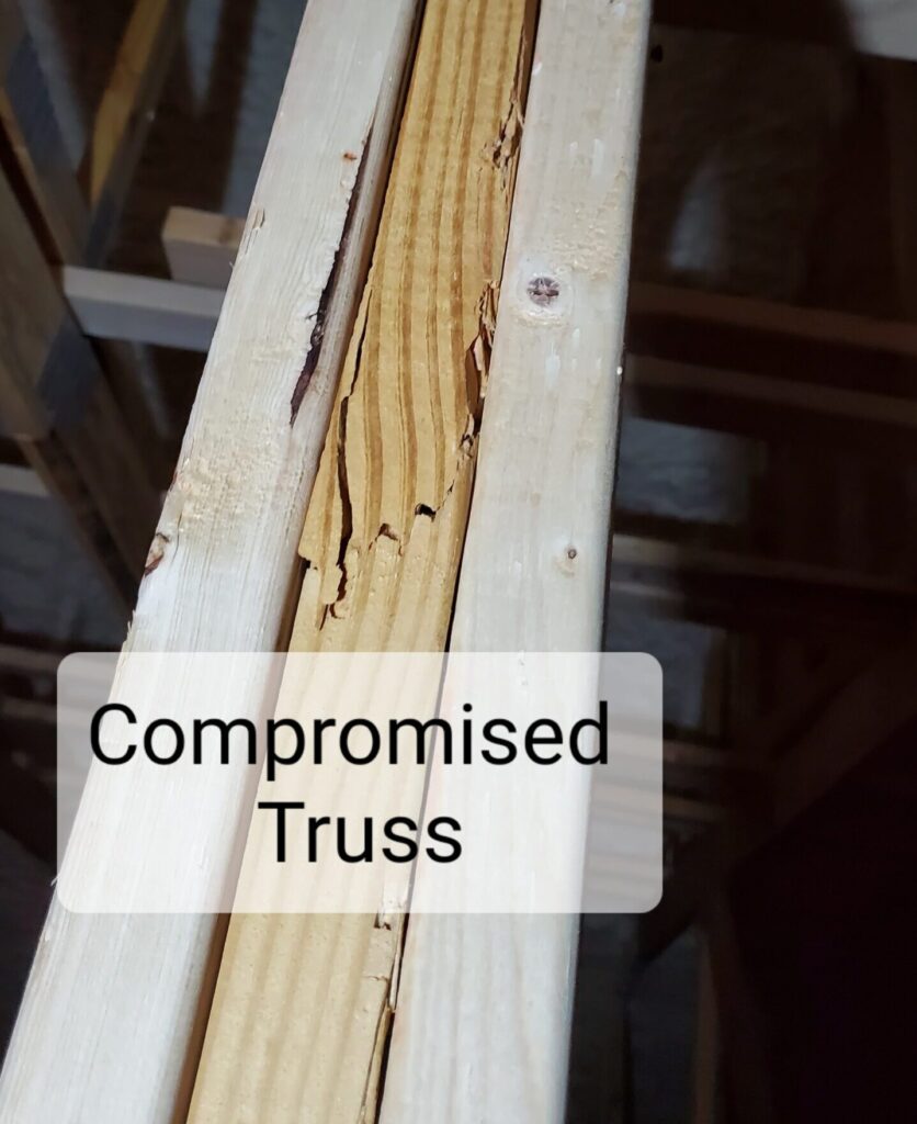 Broken Truss during Home Inspection