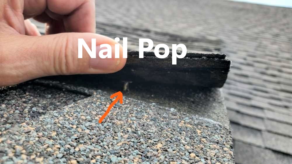 Nail Pops noted. Discovered during a home inspection by Powerworks Inspections