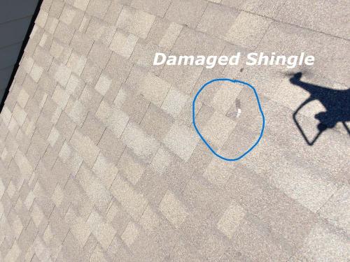 Shingle4