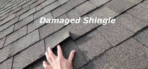 Shingle6